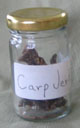 carp jerky in a jar
