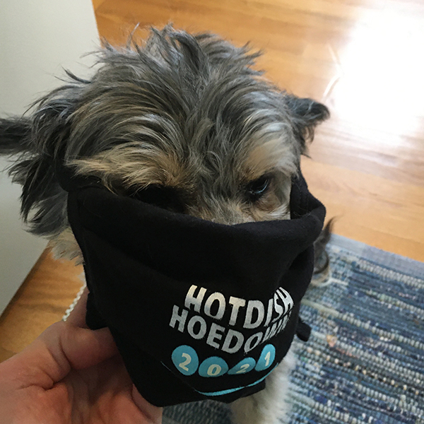 Small gray dog with black face mask that says (partially obscured) Hotdish Hoedown 2021