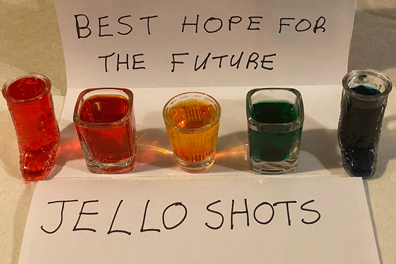 JELL-O PLAY LEGO MOLDS Jello Shots Jigglers Candy Top Bottom Brick 3 Pieces
